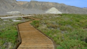 PICTURES/Salt Creek Trail & Pupfish/t_Boardwalk5.JPG